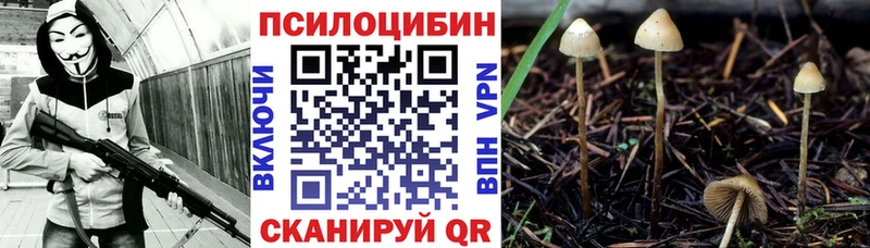 Псилоцибиновые грибы прущие грибы Купить закладки Полярные Зори
